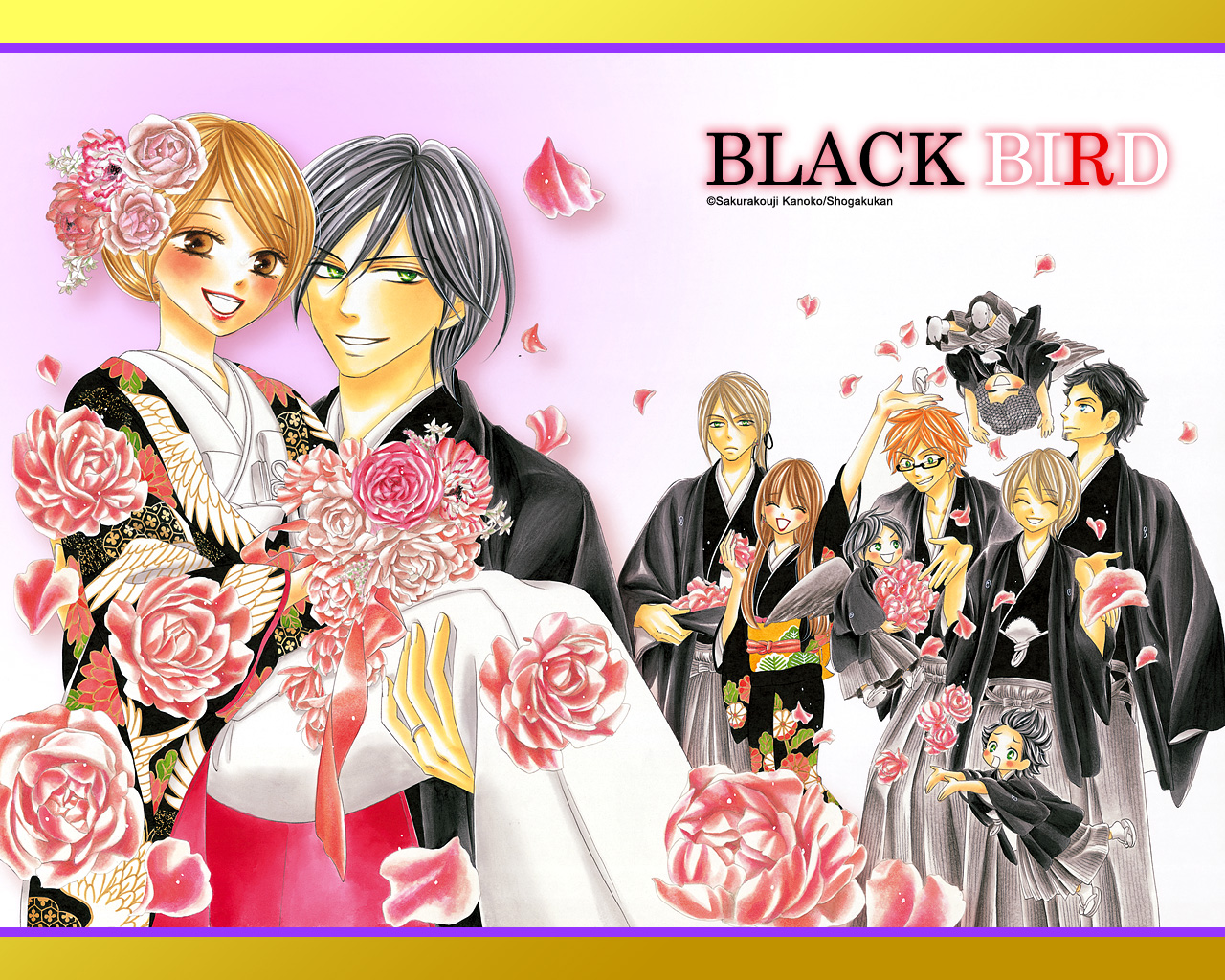 Ups 3 7 Days To Usa Black Bird Vol 1 18 Official Fan Book Set Japanese Manga Ebay