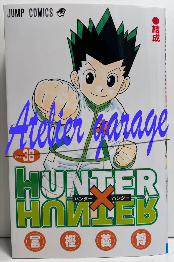 Hunter x Hunter (38) Japanese original version / manga